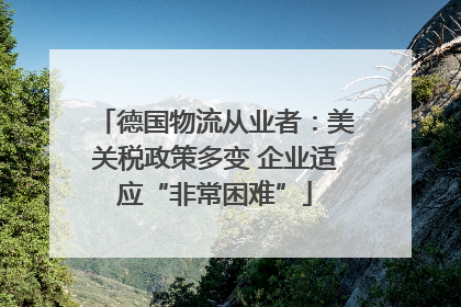 德国物流从业者：美关税政策多变 企业适应“非常困难”