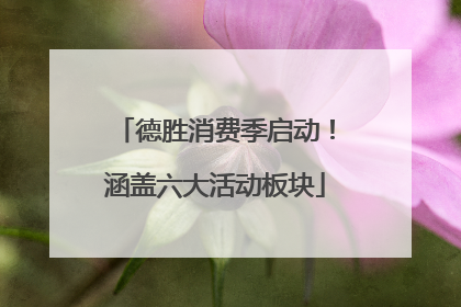 德胜消费季启动！涵盖六大活动板块