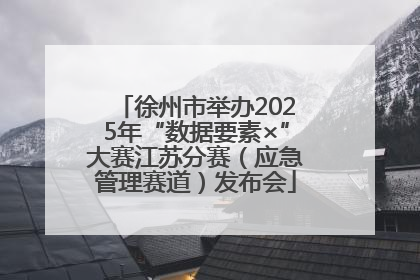 徐州市举办2025年“数据要素×”大赛江苏分赛（应急管理赛道）发布会