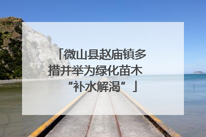 微山县赵庙镇多措并举为绿化苗木“补水解渴”