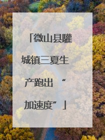 微山县驩城镇三夏生产跑出 “加速度”
