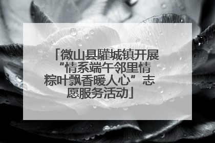 微山县驩城镇开展“情系端午邻里情 粽叶飘香暖人心”志愿服务活动