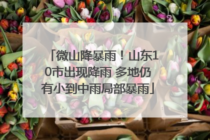 微山降暴雨！山东10市出现降雨 多地仍有小到中雨局部暴雨