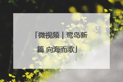 微视频｜鹭岛新篇 向海而歌