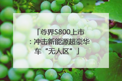 尊界S800上市：冲击新能源超豪华车“无人区”