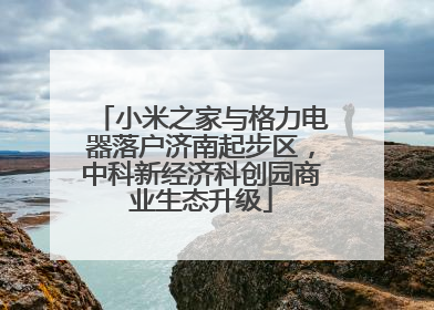小米之家与格力电器落户济南起步区，中科新经济科创园商业生态升级