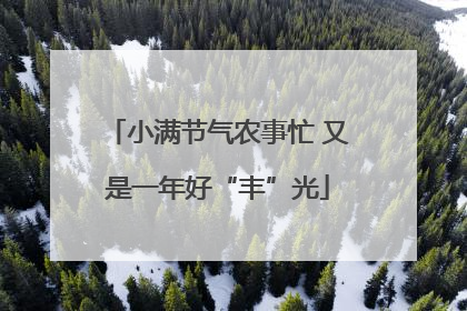 小满节气农事忙 又是一年好“丰”光