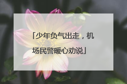 少年负气出走，机场民警暖心劝说