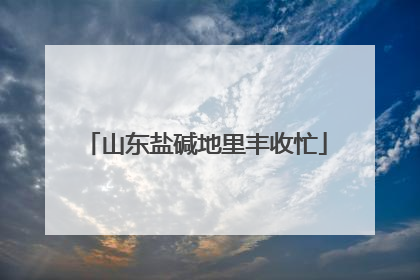 山东盐碱地里丰收忙
