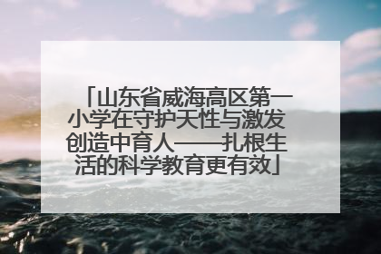 山东省威海高区第一小学在守护天性与激发创造中育人——扎根生活的科学教育更有效