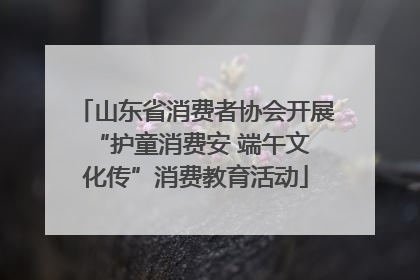 山东省消费者协会开展 “护童消费安 端午文化传”消费教育活动