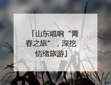 山东唱响“青春之旅”，深挖情绪旅游