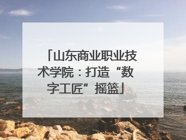山东商业职业技术学院：打造“数字工匠”摇篮