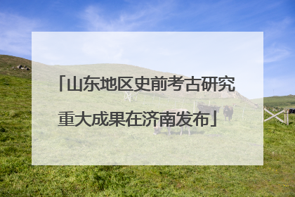 山东地区史前考古研究重大成果在济南发布