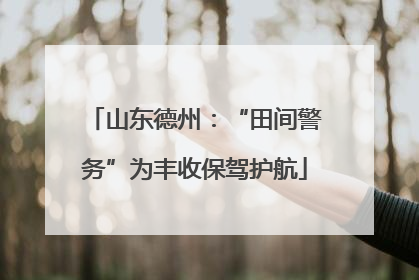 山东德州：“田间警务”为丰收保驾护航