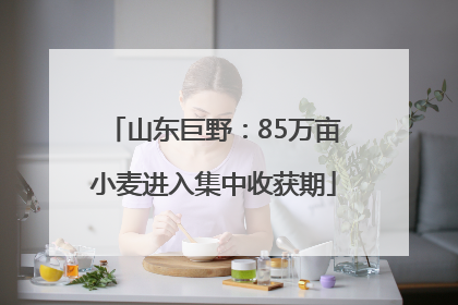 山东巨野：85万亩小麦进入集中收获期