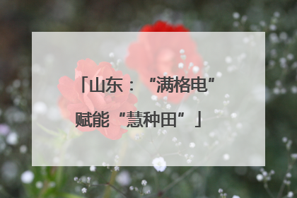 山东：“满格电”赋能“慧种田”