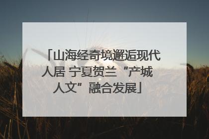 山海经奇境邂逅现代人居 宁夏贺兰“产城人文”融合发展