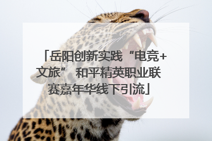 岳阳创新实践“电竞+文旅” 和平精英职业联赛嘉年华线下引流