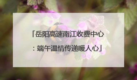 岳阳高速南江收费中心：端午温情传递暖人心