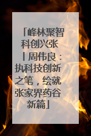 峰林聚智 科创兴张丨周伟良：执科技创新之笔，绘就张家界药谷新篇