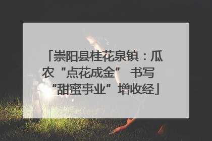 崇阳县桂花泉镇：瓜农“点花成金” 书写“甜蜜事业”增收经
