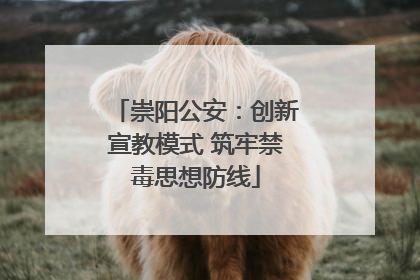 崇阳公安：创新宣教模式 筑牢禁毒思想防线