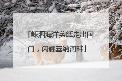 嵊泗海洋剪纸走出国门，闪耀塞纳河畔