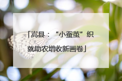 嵩县：“小蚕茧”织就助农增收新画卷