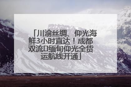 川渝丝绸、仰光海鲜3小时直达！成都双流⇌缅甸仰光全货运航线开通