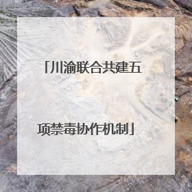 川渝联合共建五项禁毒协作机制