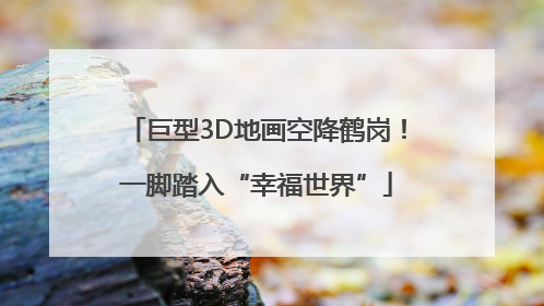 巨型3D地画空降鹤岗！一脚踏入“幸福世界”