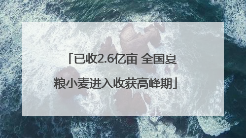 已收2.6亿亩 全国夏粮小麦进入收获高峰期