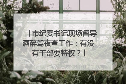 市纪委书记现场督导酒醉驾夜查工作：有没有干部耍特权？