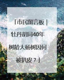 市民留言板｜牡丹胡同40年树龄大杨树因何被扒皮？
