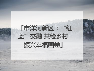 市洋河新区：“红蓝”交融 共绘乡村振兴幸福画卷