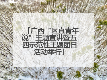 广西“区直青年说”主题宣讲暨五四示范性主题团日活动举行