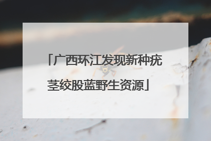 广西环江发现新种疣茎绞股蓝野生资源