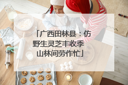 广西田林县：仿野生灵芝丰收季 山林间劳作忙