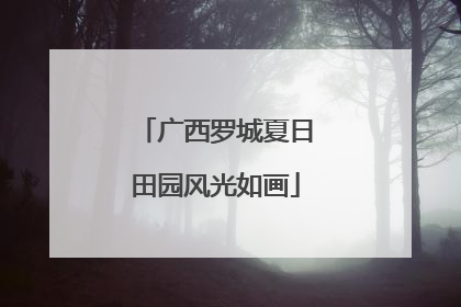 广西罗城夏日田园风光如画