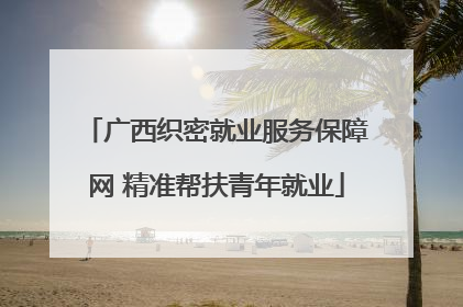 广西织密就业服务保障网 精准帮扶青年就业