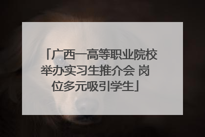 广西一高等职业院校举办实习生推介会 岗位多元吸引学生