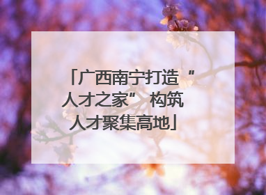广西南宁打造“人才之家” 构筑人才聚集高地