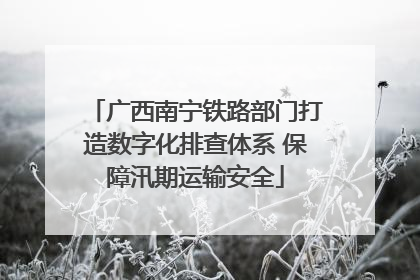 广西南宁铁路部门打造数字化排查体系 保障汛期运输安全