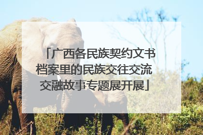 广西各民族契约文书档案里的民族交往交流交融故事专题展开展