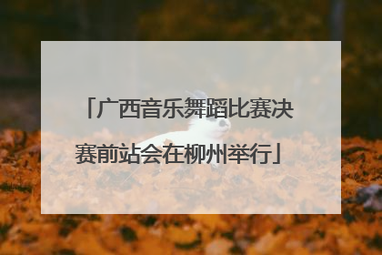 广西音乐舞蹈比赛决赛前站会在柳州举行