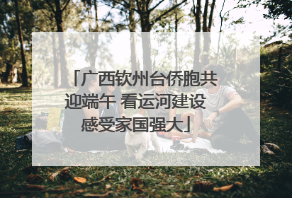 广西钦州台侨胞共迎端午 看运河建设感受家国强大