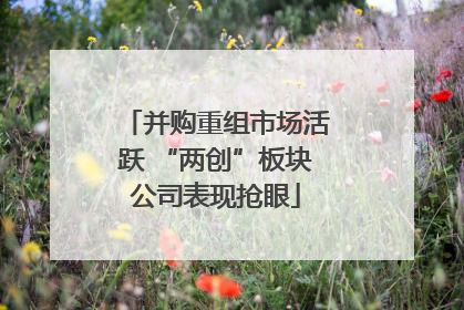 并购重组市场活跃 “两创”板块公司表现抢眼