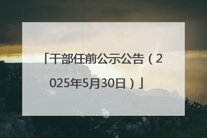 干部任前公示公告（2025年5月30日）