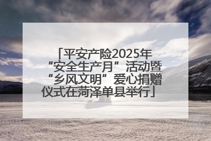 平安产险2025年“安全生产月”活动暨“乡风文明”爱心捐赠仪式在菏泽单县举行